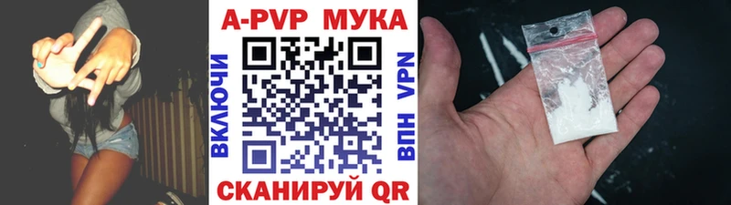 даркнет телеграм  Черняховск  A PVP мука  omg рабочий сайт 