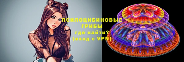 ПСИЛОЦИБИНОВЫЕ ГРИБЫ Баксан