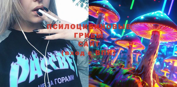 ПСИЛОЦИБИНОВЫЕ ГРИБЫ Баксан