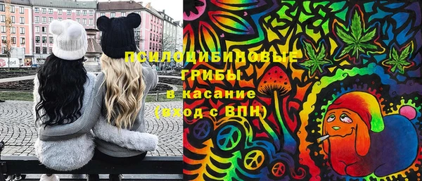 ПСИЛОЦИБИНОВЫЕ ГРИБЫ Баксан