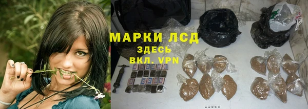 ПСИЛОЦИБИНОВЫЕ ГРИБЫ Баксан