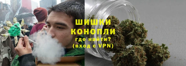 ПСИЛОЦИБИНОВЫЕ ГРИБЫ Баксан